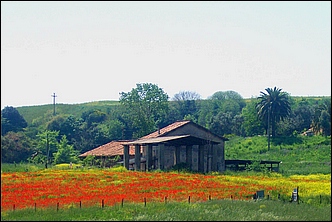 Anteprima - Clicca per ingrandire